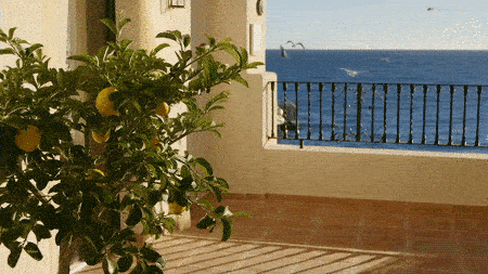 hailuo ai video generator