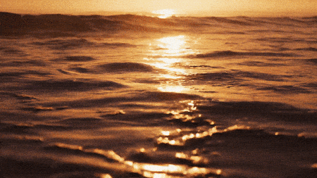 video generated by google veo 3.1