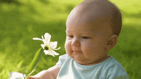 ai baby videos