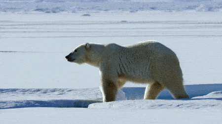 hailuo ai video - hailuo 2.3